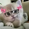 Iris - @irisdavid_21 - TikTok