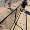 Iris Dodd - @iris.dodd1 - TikTok