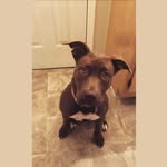 Iris Gaia Edmondson - @iris_gaia_edmondson - Instagram