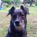 Iris Engel - Facebook