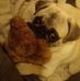 Iris Engel - Facebook