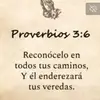 Iris Esquivel - @iris.esquivel1 - TikTok