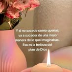 Iris Falcon - Facebook