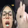 iris 𐙚⋆.˚ - @irisfein - TikTok