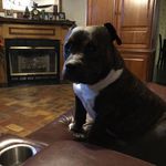 Iris Franks - @homehealthqueen - Instagram