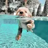 Friends only lol - @iris.friends - TikTok