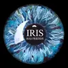 iris has friends - @irishasfriends - TikTok