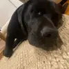 iris.friends.only - @iris.friends.only - TikTok