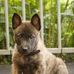 Iris Vanderburg - Facebook