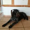Iris Funke - @irisfunke0 - TikTok