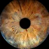 IRIS GALERIE BRIGHTON - @irisgaleriebrighton - TikTok