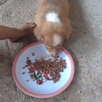 Iris Galicia - Facebook