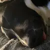 Iris Galindo - @irisgalindo789 - TikTok