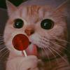 iris_delagandara - @iris_delagandara - TikTok