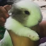 Iris Garay - @iris_garay123 - Instagram