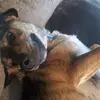 Iris Garrido - @ig8920 - TikTok
