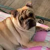 IrishGayle - @IrishGayle - TikTok