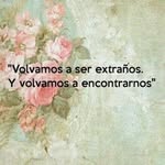 iris gaytan - @bebeeejr - Instagram