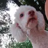 Iris M Gaytán - @iris.gaytan92 - TikTok