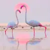 Iris_gee - @g.iris7 - TikTok