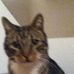 Iris Gehrke - Facebook