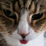 Iris Geiger - @irisgeiger56 - Instagram
