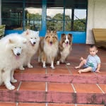 Iris, Gohan, Titto & Magnólia - @iris.gohan.titto - Instagram