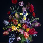 Iris Gonzalez - @iris_gonzalez_stilllife - Instagram