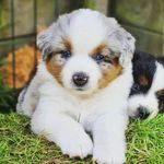 Iris - @iris_immaculate_goodkarma - Instagram