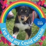 Iris Gower - @goweralfie - Instagram