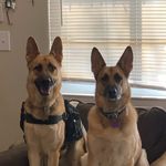 Iris and Grimm - @iris_and_grimm - Instagram