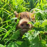 iris_grimm - @iris_grimm - Instagram