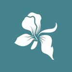 Iris Grove - @irisgrovehomes - Instagram