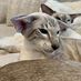 Iris Gruber - Facebook