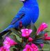 Iris Guillen - Facebook