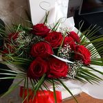Iris Harding - @irisarding - Instagram