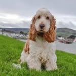 Iris Henderson - @irishenderson65 - Instagram