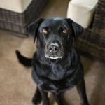 iris henderson - @iris.henderson55 - Instagram
