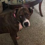 Iris Hicks - @iris031018 - Instagram