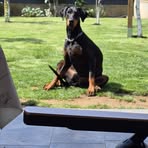 Iris Hollmann - Facebook