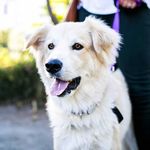 Iris Palles Hoffman - @iris_baby_love - Instagram