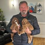 Cooper and Bella Oodles - @irish_oodles - Instagram