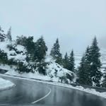 @iris.__.hope - Instagram