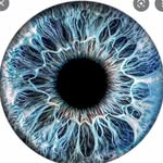 Iris Horváth - @horvath57 - Instagram