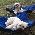 Iris Howard - @iris.howard.754 - Instagram