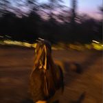 Iris - @_iris_hoxha - Instagram