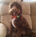 Iris Hunt - Facebook