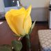 Iris Hunt - Facebook