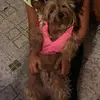 irisinfante  - @irisinfante - TikTok