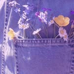 Iris - @irisivoryplant - Instagram